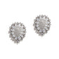 Women's Bloom American Diamonds Stud Earrings